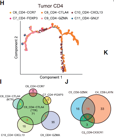 CD4_pseudotime