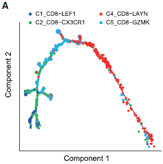 CD8_pseudotime