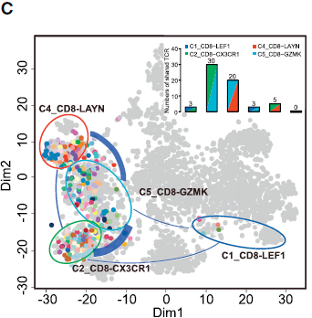 CD8_shared_TCR