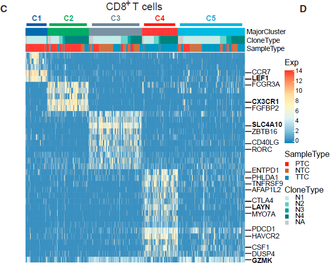 CD8_signature_genes