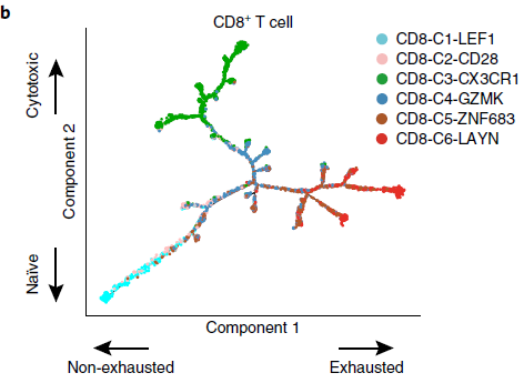 CD8_developmental_trajectory