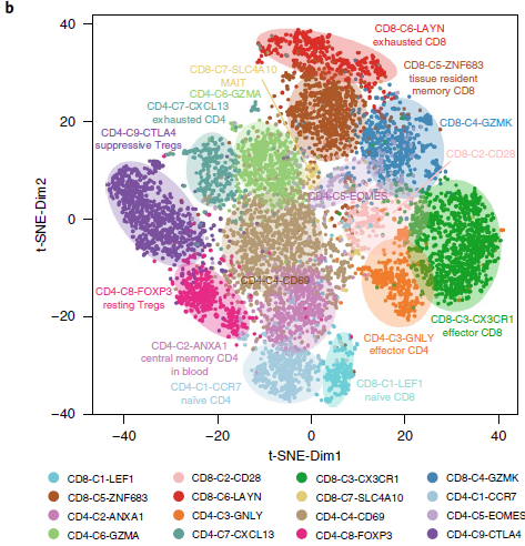 T_cell_cluster