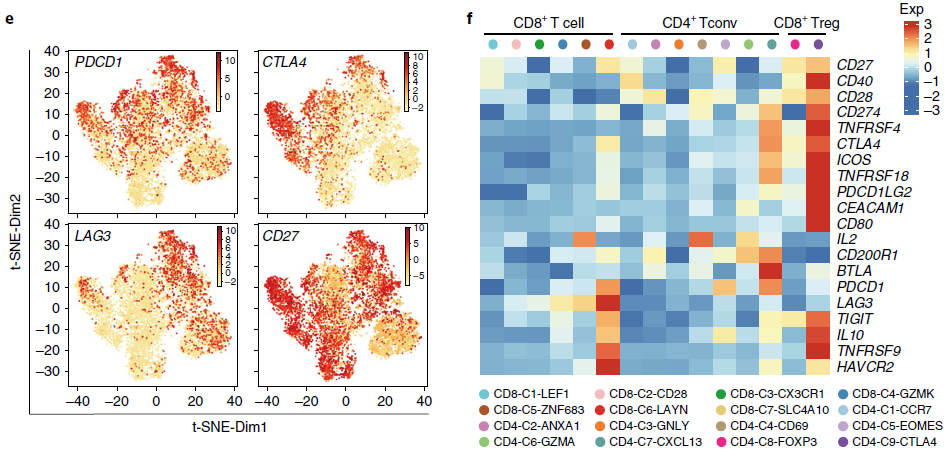 target_genes_expression