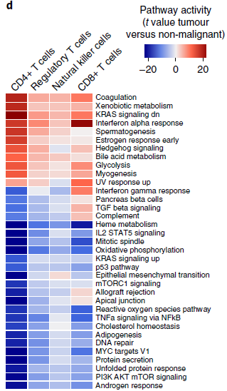 T_cell_pathway