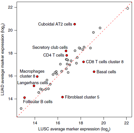 cell_subtypes_cor_tumor