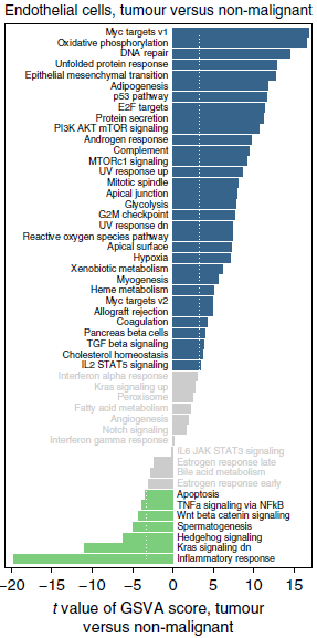 endothelial_GSVA