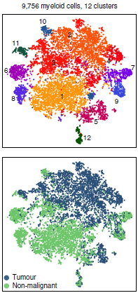 myeloid_cluster