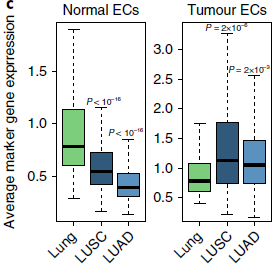 normal_tumor_endothelial_marker