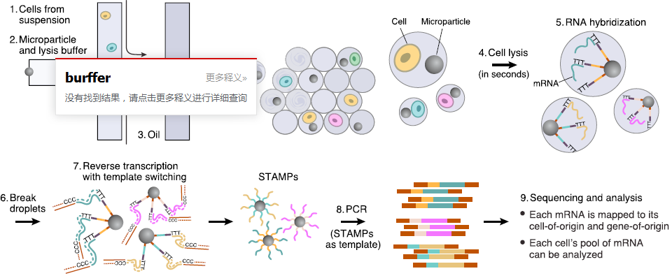 Drop-seq